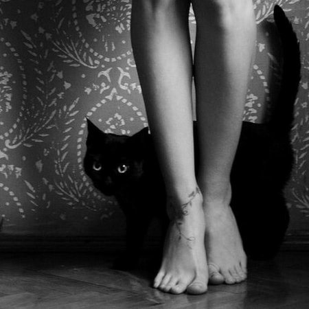 Девушка кошка