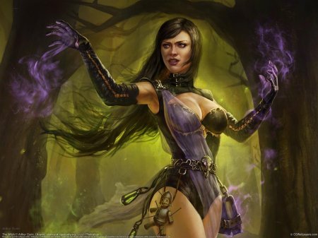 Эльфийка Чародейка