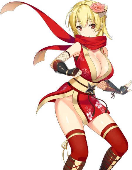 Аниме девушки ниндзя