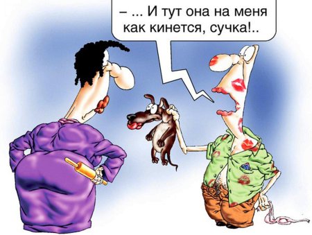 Карикатуры смешные