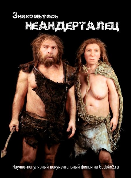 Неандерталец (homo Neanderthalensis)