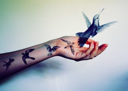 Тату птиц