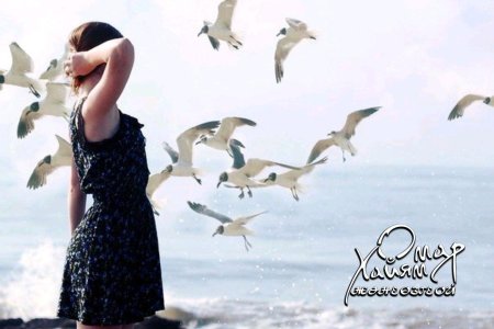 Море птицы девушка