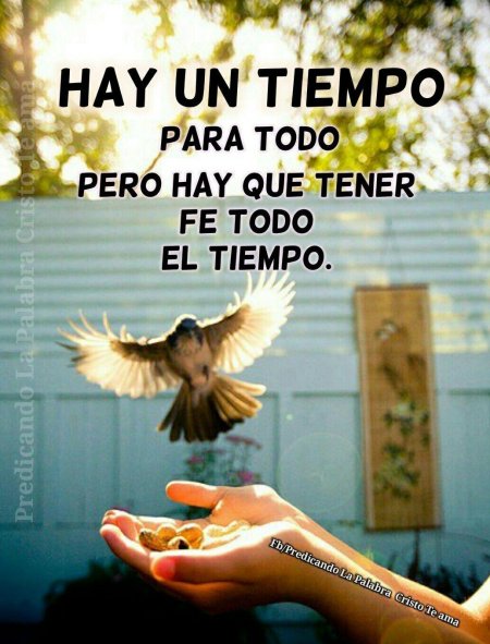 Mensajes de buenos días