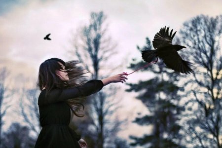 Птица на голове!