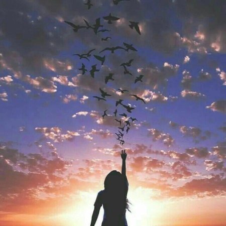 Девушка закат птицы