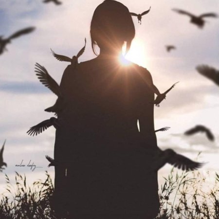 Птица свободы