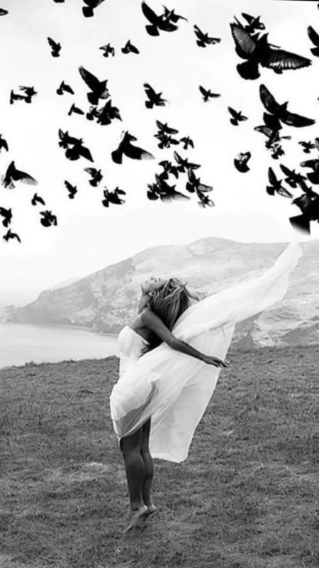 Свободная птица