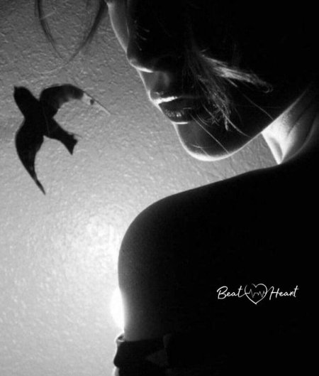 Девушка отпускает птицу