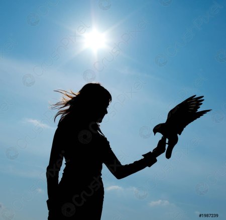 Силуэт женщины с птицами