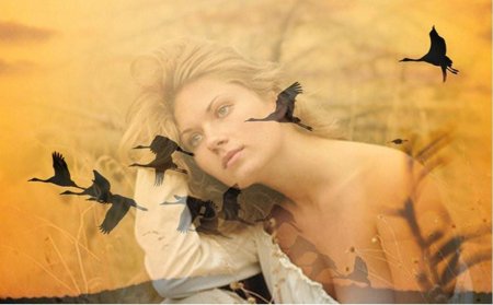 Словно птица