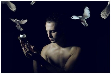 Белая голубь