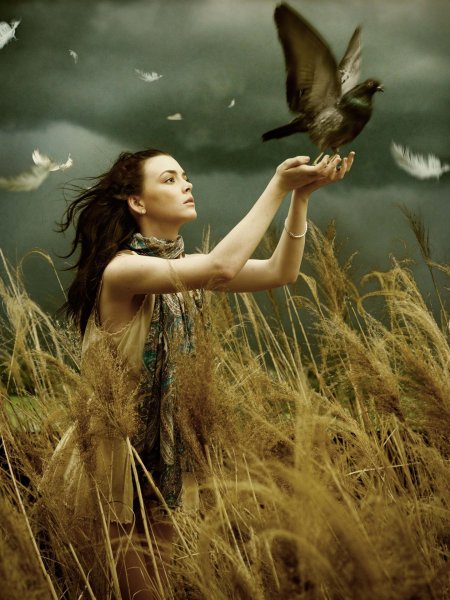 Шинджи Ватанабе