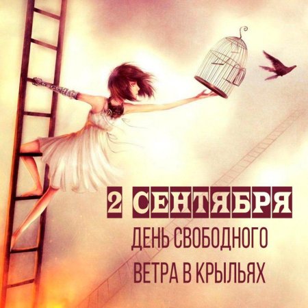 День свободного ветра в крыльях