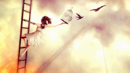 Птица улетает из клетки