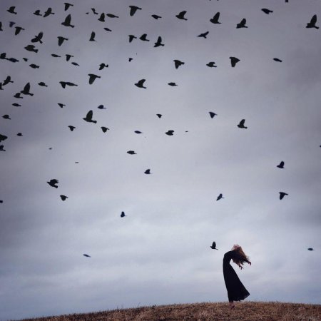 Грустная птица