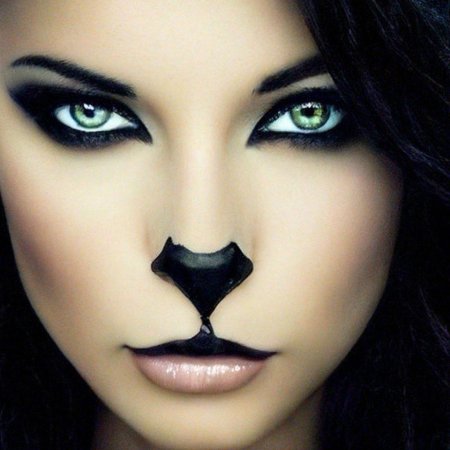 Макияж кошки для девочки своими руками