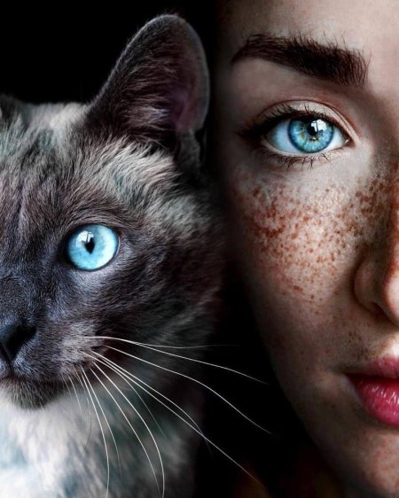 Девушка с кошачьими глазами