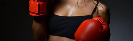 Девушка боксер