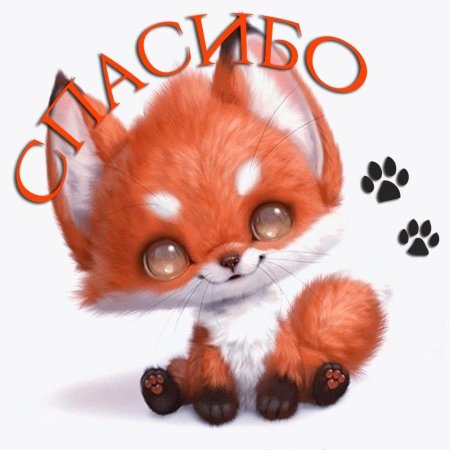 Милые лисички рисунки