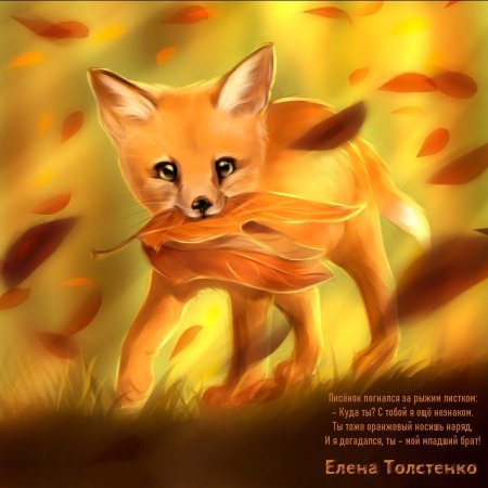 Красивая лиса