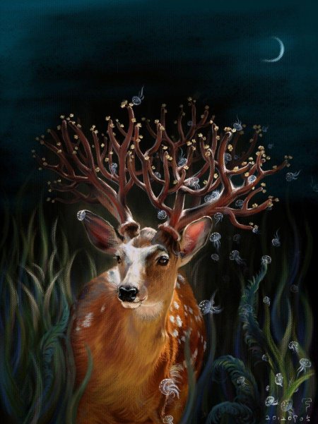 Олень и олениха