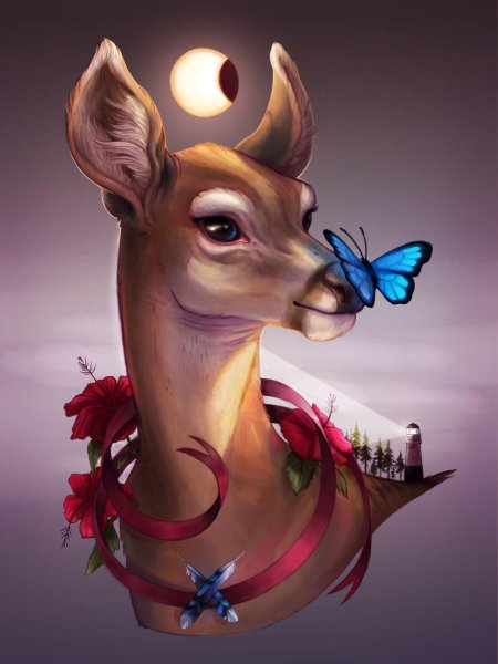 Олень и олениха