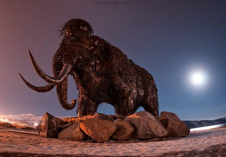 Магадан мамонт памятник