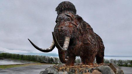 Скульптура мамонта в Магадане