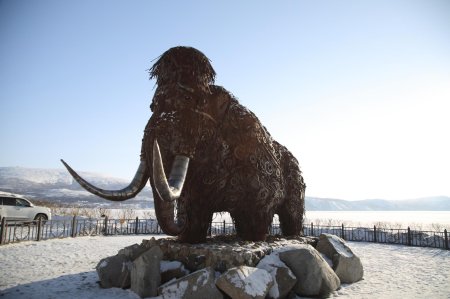 Скульптура мамонта в Магадане