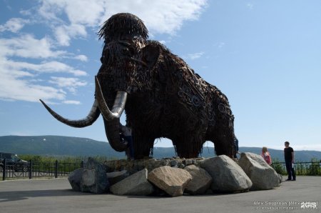 Монумент мамонт Магадан