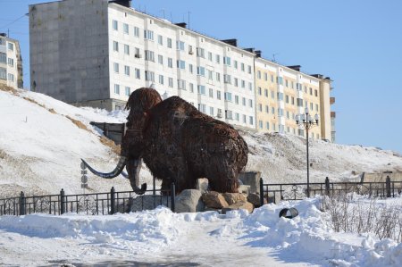 Мамонт Магадан
