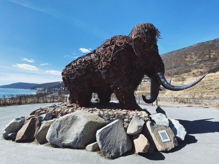Магадан мамонт памятник