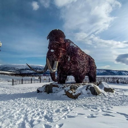 Магадан мамонт памятник