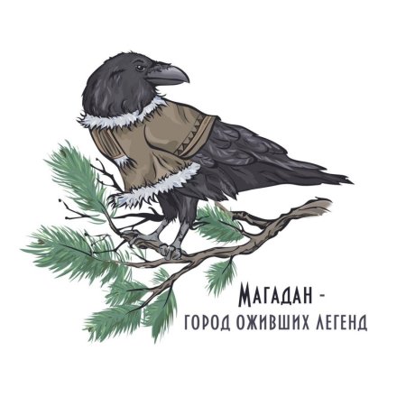 Ворона Магадан