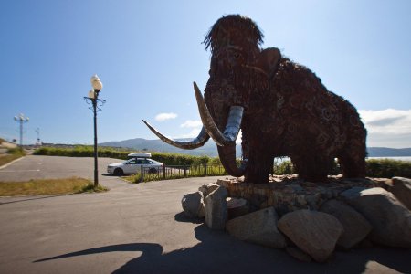 Луянис Виктория Магадан