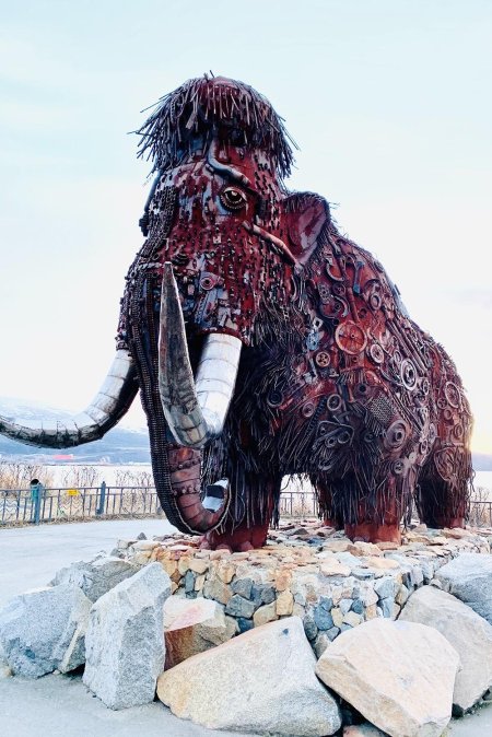 Мамонт Магадан