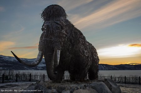 Магаданская область мамонт