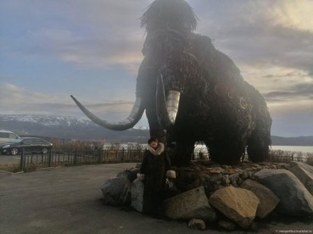 Фото Мамонтов