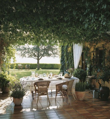 Беседка увитая плющом