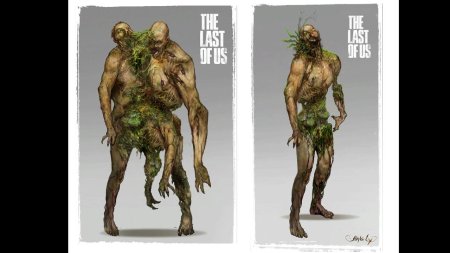 Стадии заражения кордицепсом