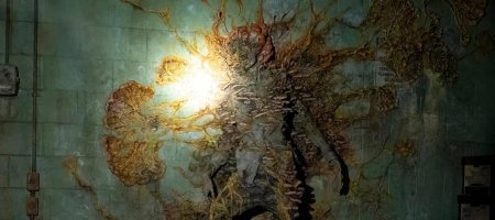 Кордицепс сериала the last of us