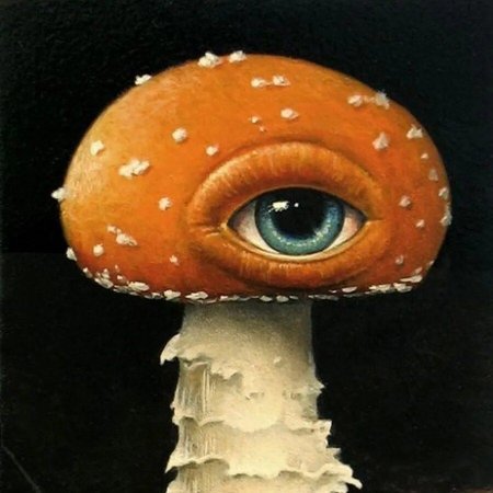 Аманита Мускария