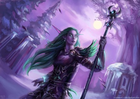 Ночные эльфы варкрафт