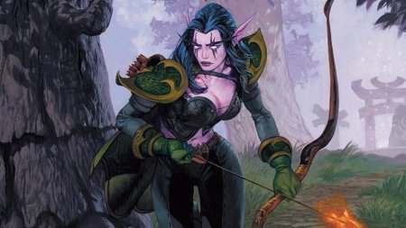 Warcraft ночные эльфы охотница