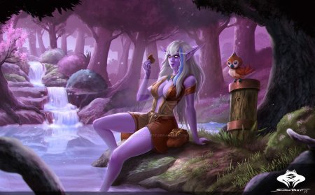 Warcraft ночные эльфы