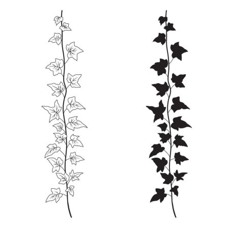 Лианы рисунок