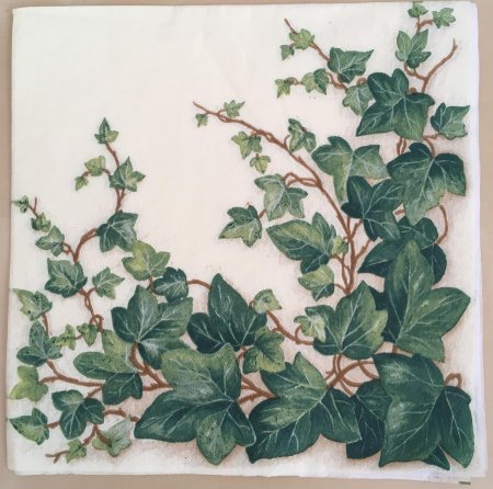 Японский плющ