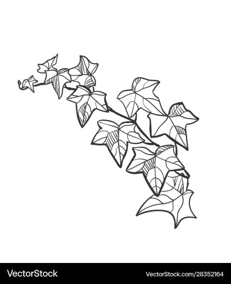 Трафарет плющ