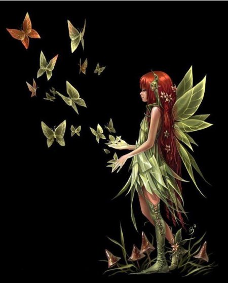 Феи Анны Игнатьевой